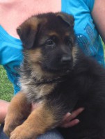 /album/a5-weeks/stenka-b-vrh-053-jpg/